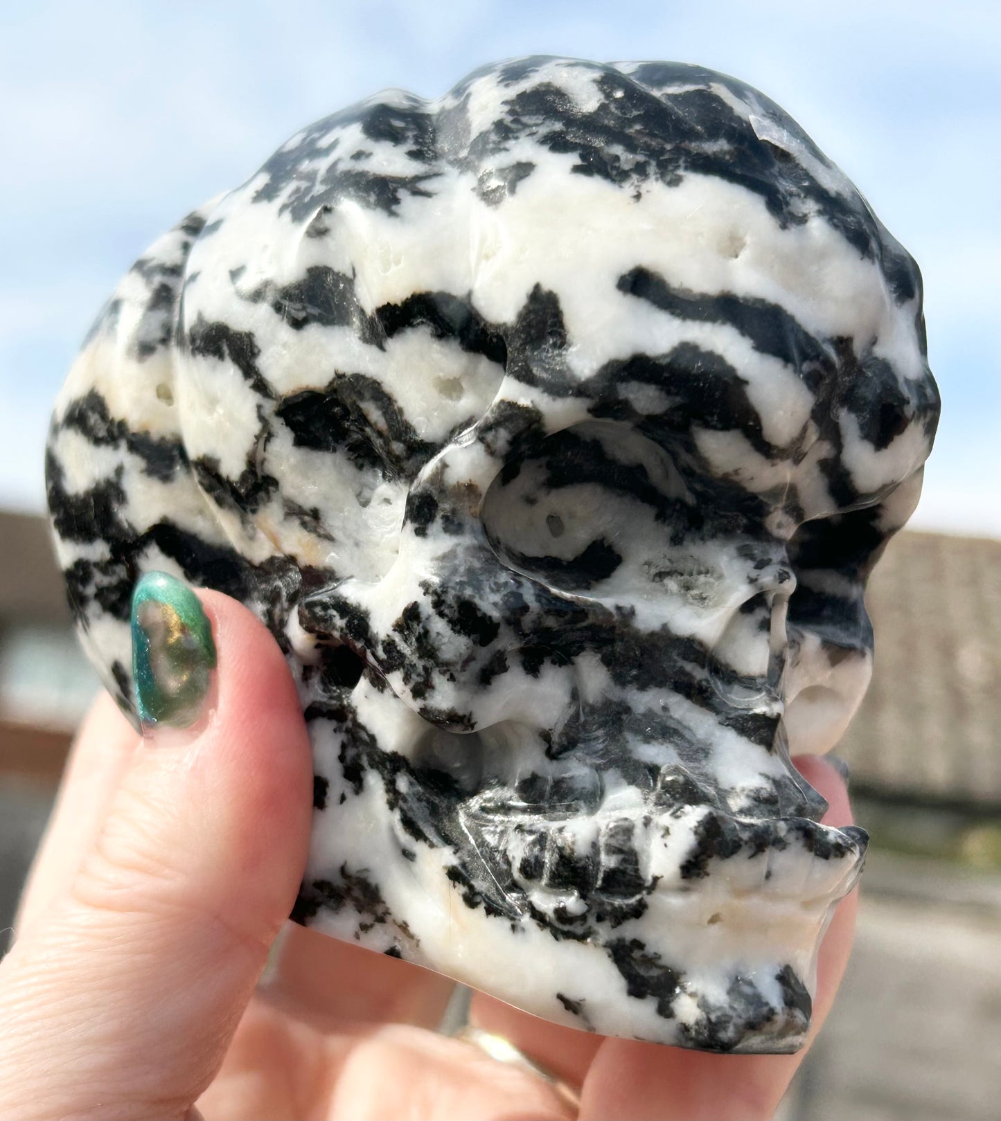 Zebra 🦓 Jasper Extra Large Pumpkin 🎃 Skull Carving 0.916 kg