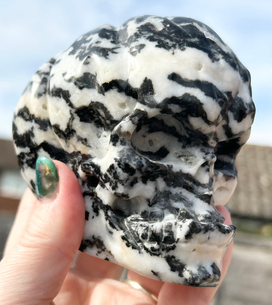 Zebra 🦓 Jasper Extra Large Pumpkin 🎃 Skull Carving 0.916 kg
