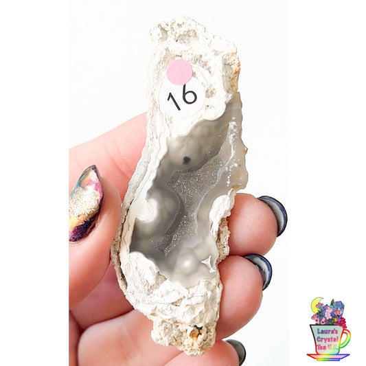 Fossilised Agatised Coral 🪸 16a Small Single Limited Edition From Florida, USA 🇺🇸 Green UV