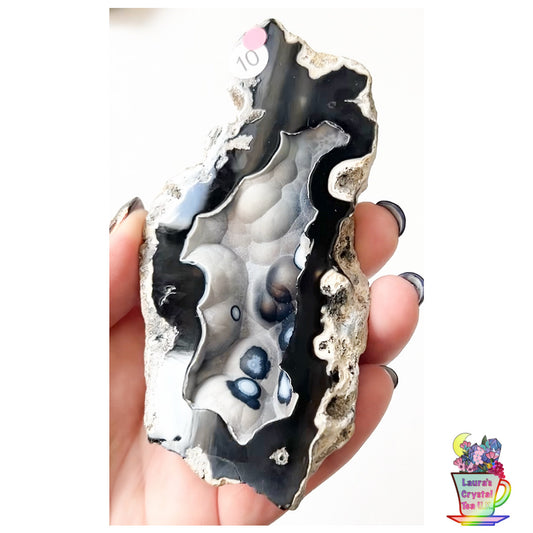 Fossilised Agatised Coral 🪸 10a Large Single Limited Edition From Florida, USA 🇺🇸 Green UV