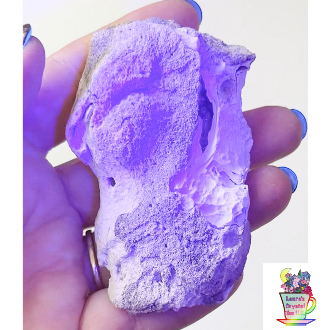 Fossilised Agatised Coral 🪸 11a Large Single Limited Edition From Florida, USA 🇺🇸 Green UV