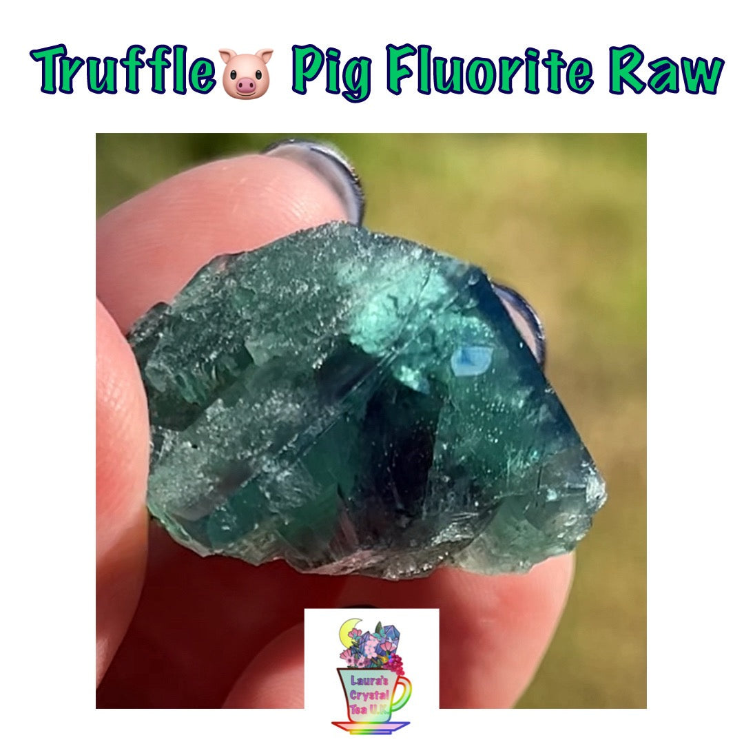 #17 Truffle 🐷 Pig Fluorite Raw from Sutcliffe Vein, Diana Maria Mine, Weardale, U.K. 🇬🇧