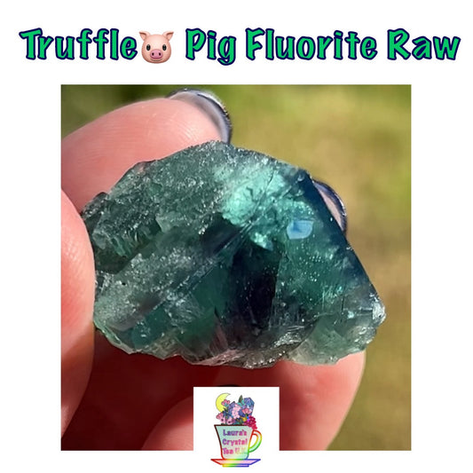 #17 Truffle 🐷 Pig Fluorite Raw from Sutcliffe Vein, Diana Maria Mine, Weardale, U.K. 🇬🇧