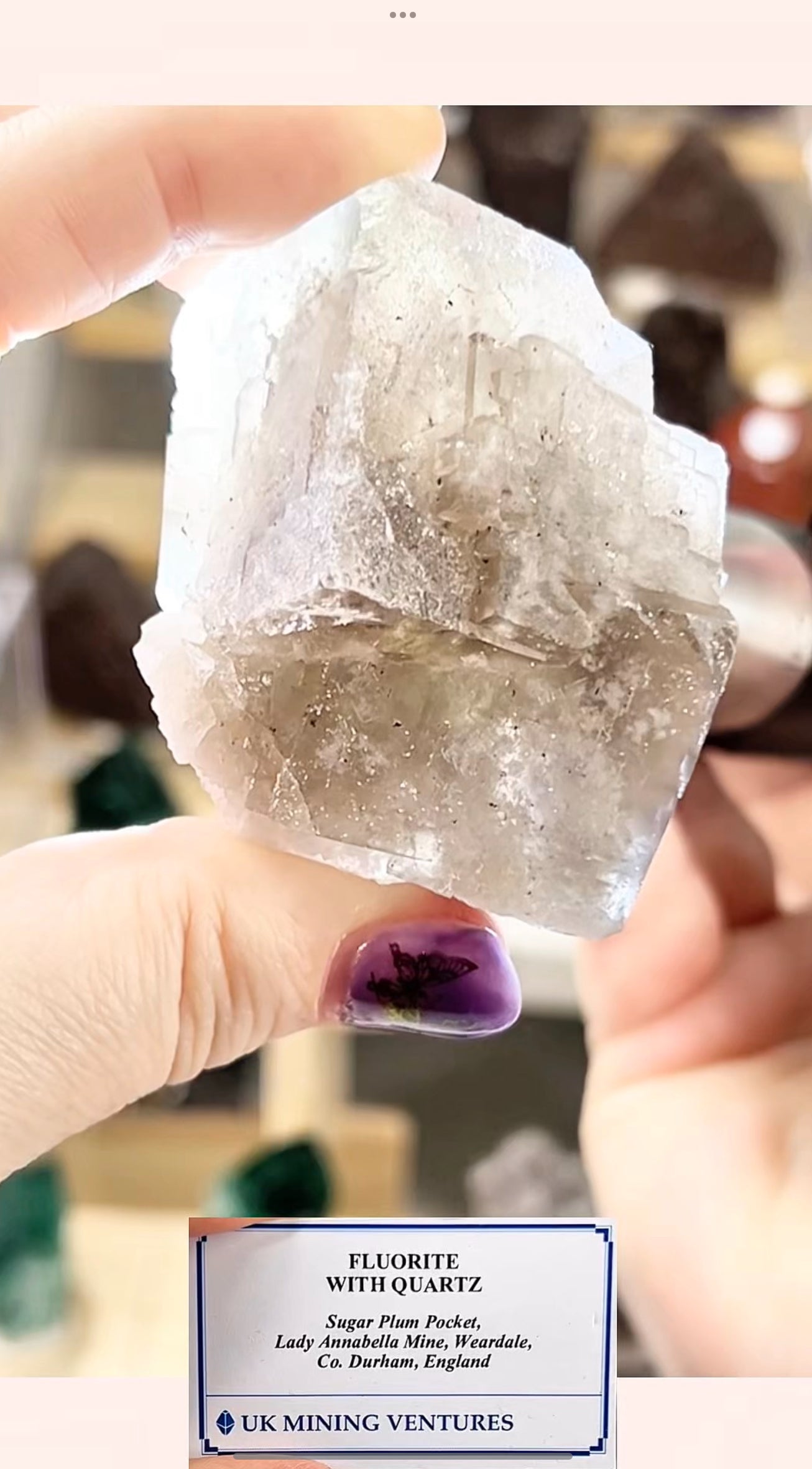 Geist Live Sale Claims 2nd November 2025 - Sugar Plums XX