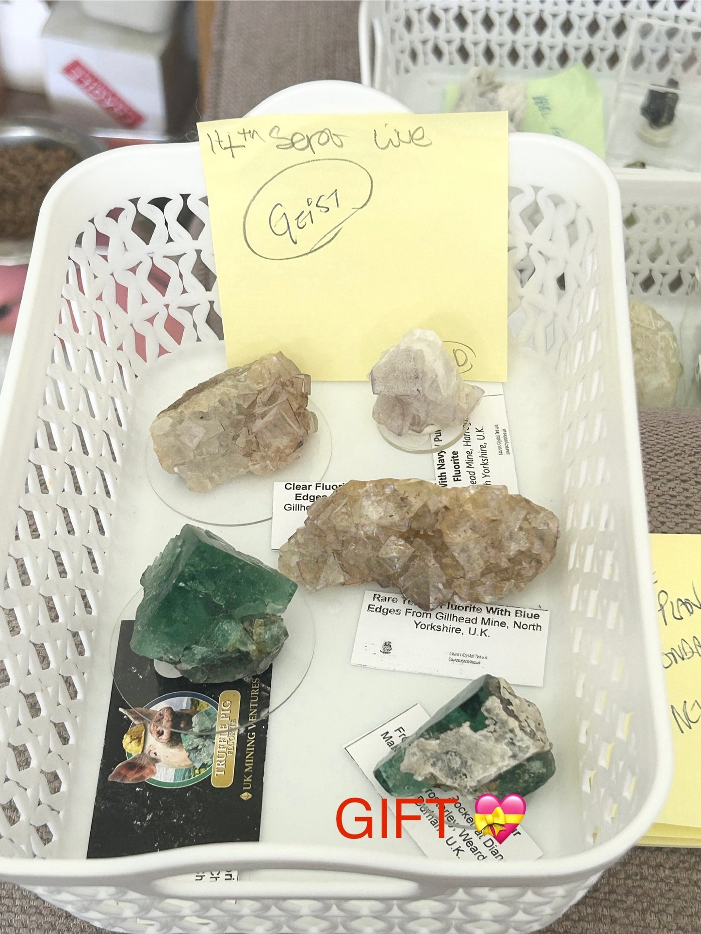 Geist Live Sale Claims 14th September 2025