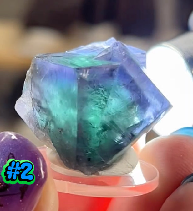 Geist Direct Claims 1st & 2nd November 2025 XX