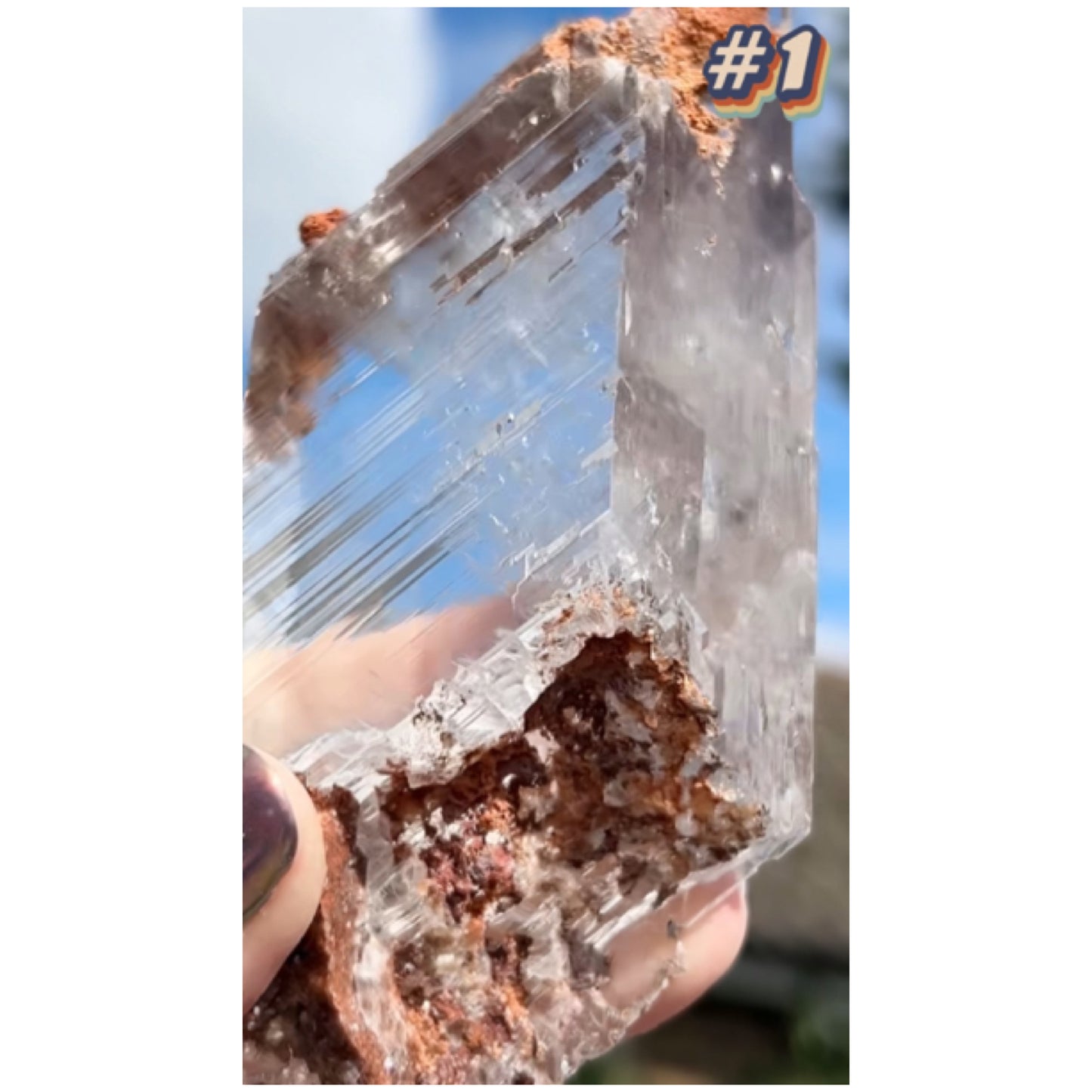 Selenite #1 Statement Piece Specimen In Display Box From Bermejillo, Durango, Mexico 🇲🇽