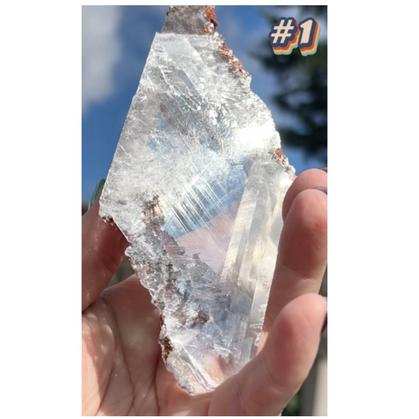Selenite #1 Statement Piece Specimen In Display Box From Bermejillo, Durango, Mexico 🇲🇽