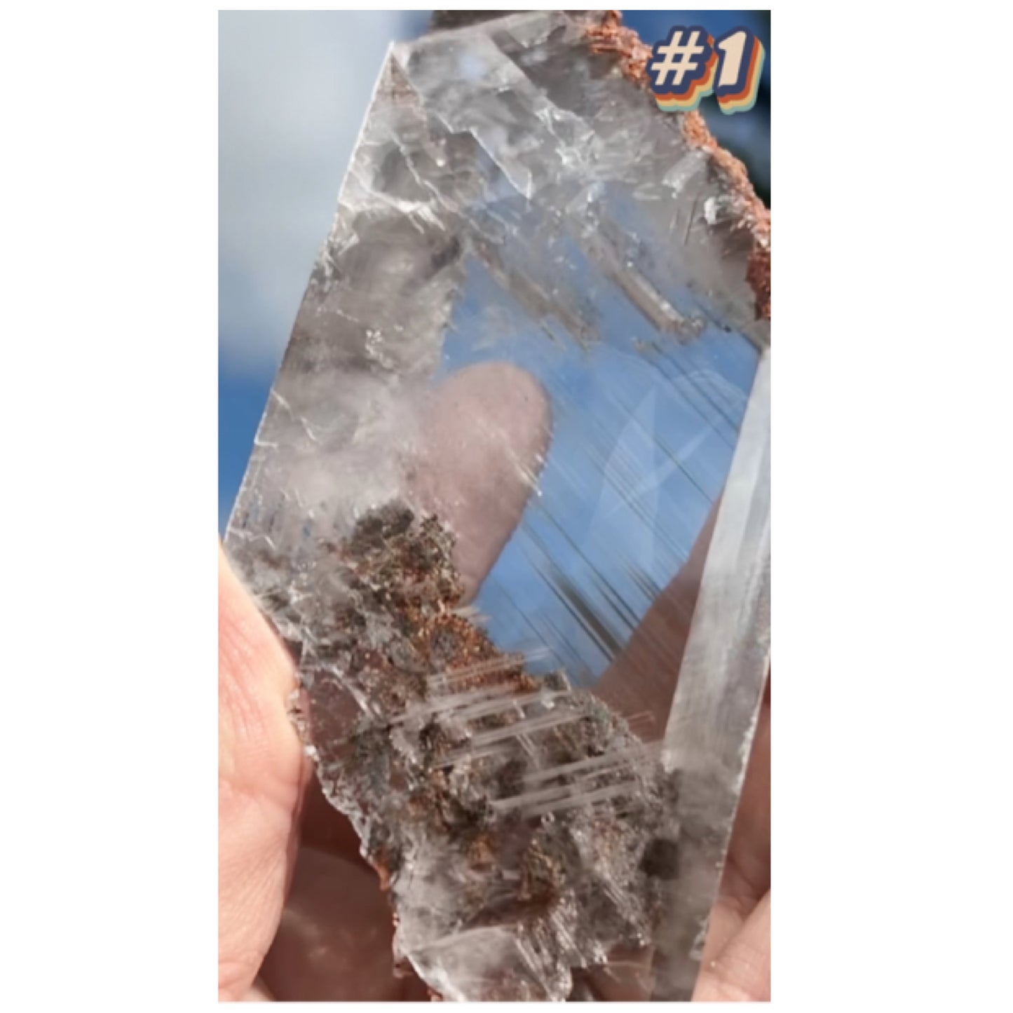 Selenite #1 Statement Piece Specimen In Display Box From Bermejillo, Durango, Mexico 🇲🇽