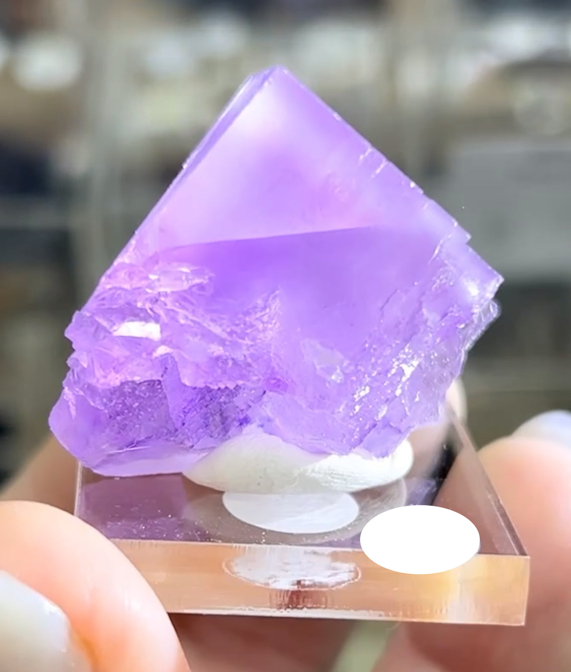 Cave-In-Rock Blue-Purple Fluorite from Closed Mine, Cave-in-Rock, Illinois, USA 🇺🇸 Pick Your Specimen