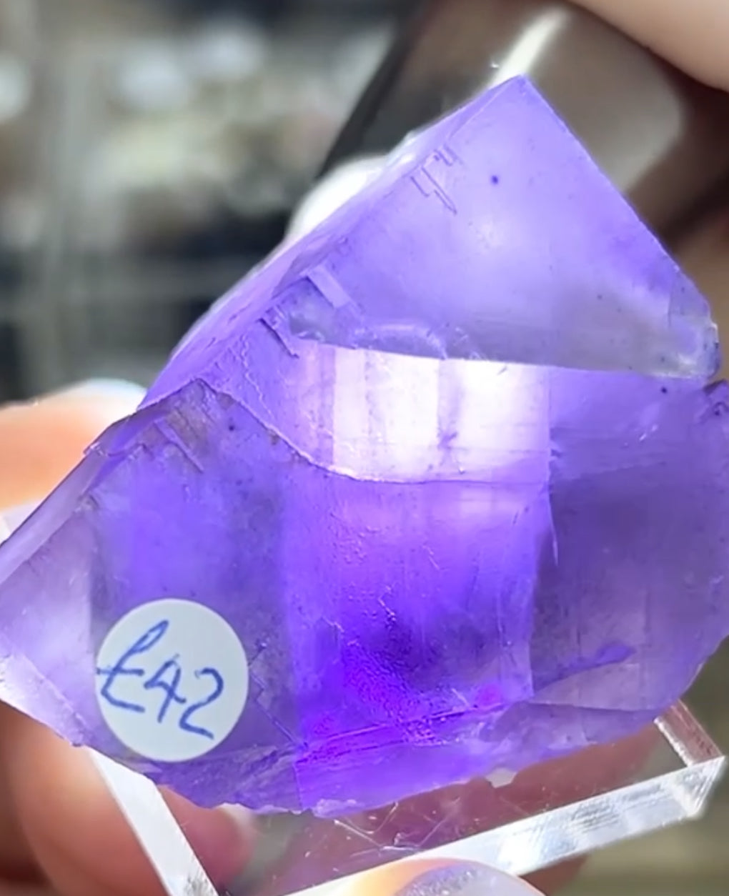 Cave-In-Rock Blue-Purple Fluorite from Closed Mine, Cave-in-Rock, Illinois, USA 🇺🇸 Pick Your Specimen