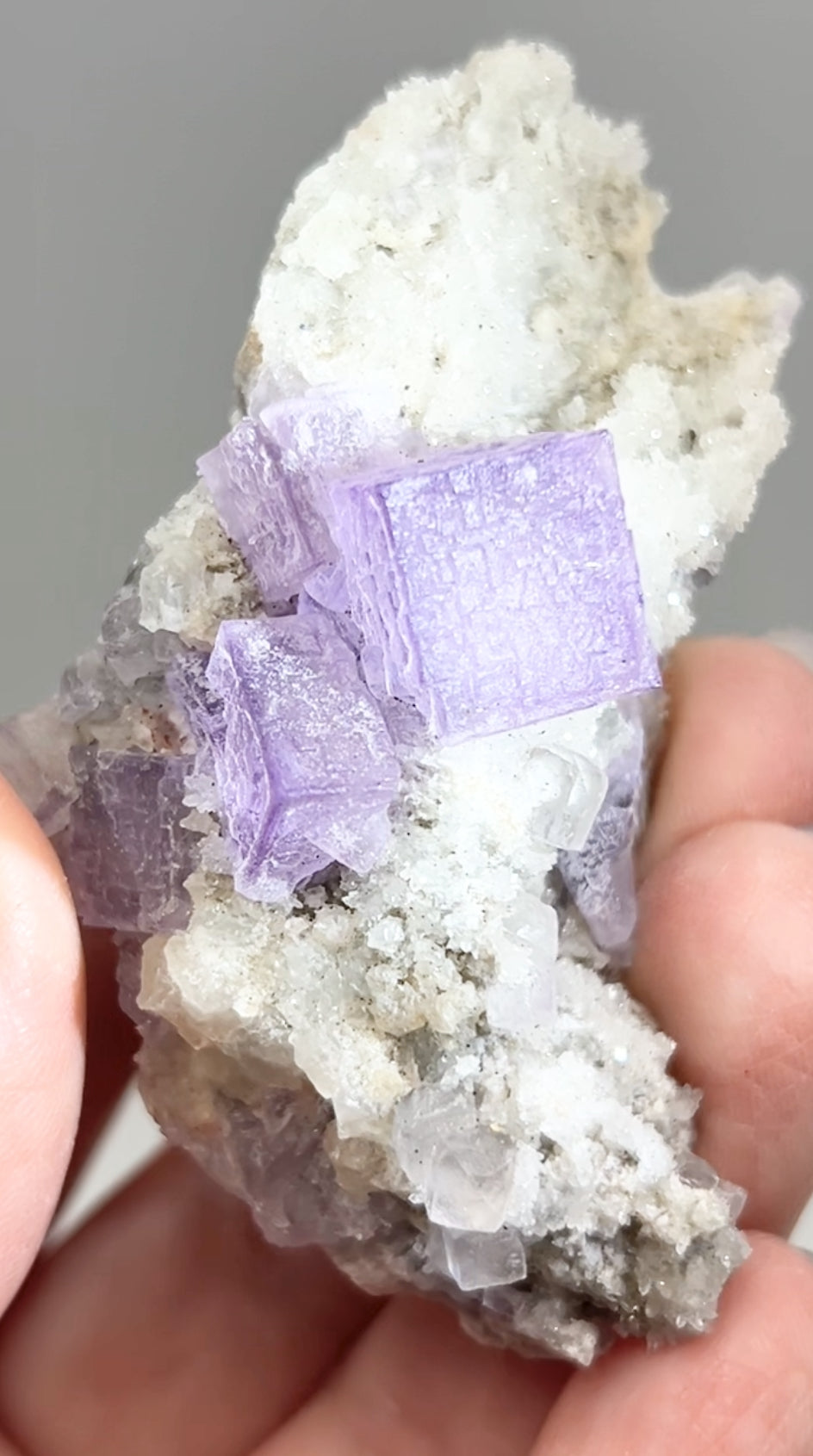 El Filo Fluorite #7 White-Purple Fluorite from El Filo Mine, Mapaimi, Durango, México 🇲🇽