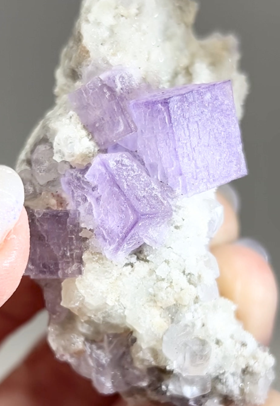 El Filo Fluorite #7 White-Purple Fluorite from El Filo Mine, Mapaimi, Durango, México 🇲🇽
