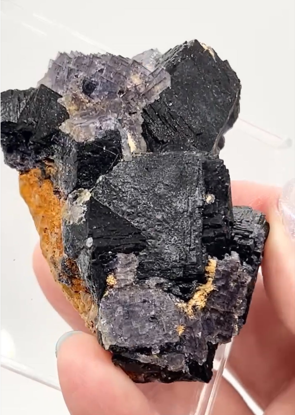 ‘Black Jack’ Blue John Fluorite #5 from Old Tor Mine, National Trust Property, Castleton, High Peak, Derbyshire, U.K. 🇬🇧 Independently Mined in 1980s - Closed Mine