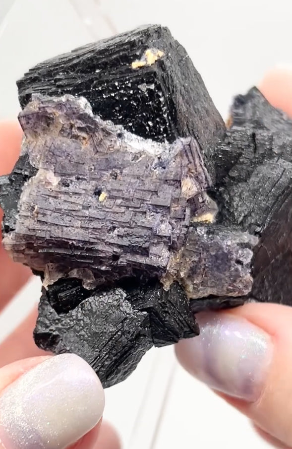 ‘Black Jack’ Blue John Fluorite #5 from Old Tor Mine, National Trust Property, Castleton, High Peak, Derbyshire, U.K. 🇬🇧 Independently Mined in 1980s - Closed Mine
