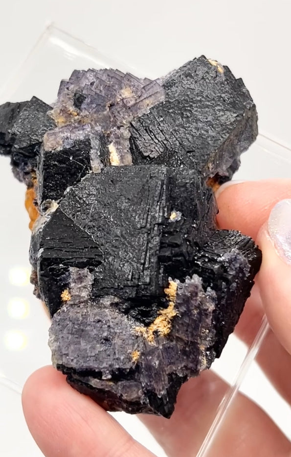 ‘Black Jack’ Blue John Fluorite #5 from Old Tor Mine, National Trust Property, Castleton, High Peak, Derbyshire, U.K. 🇬🇧 Independently Mined in 1980s - Closed Mine