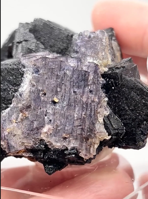 ‘Black Jack’ Blue John Fluorite #5 from Old Tor Mine, National Trust Property, Castleton, High Peak, Derbyshire, U.K. 🇬🇧 Independently Mined in 1980s - Closed Mine