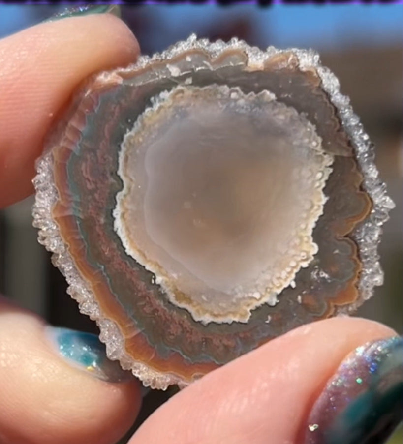 Stalactite Smokey & Red Haematite Quartz Flowers #3 from Minas Gerais, Brazil 🇧🇷