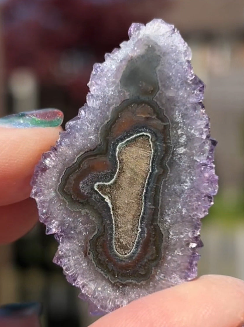 Stalactite Amethyst/ Citrine Ametrine Quartz Flowers #9 from Minas Gerais, Brazil 🇧🇷