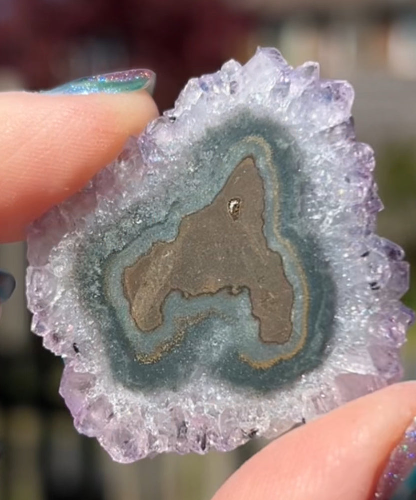 Stalactite Amethyst/ Citrine Ametrine Quartz Flowers #12 from Minas Gerais, Brazil 🇧🇷