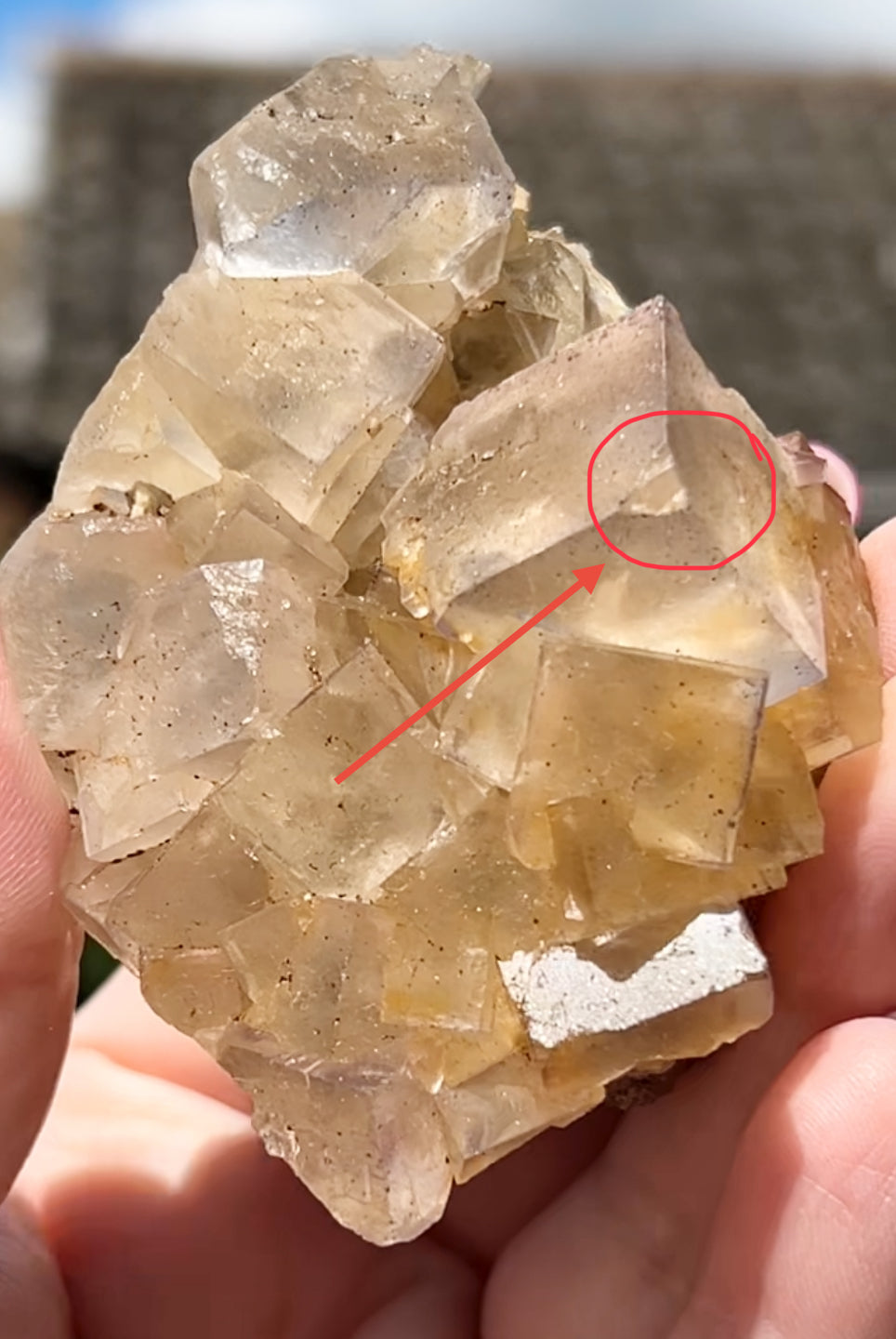 Clear/ White Fluorite With Iron Inclusions & Navy Blue/ Purple plus Iron Wash Medium #1 From Paul’s Pocket, Gillhead Mine, Harrogate, North Yorkshire, U.K. 🇬🇧