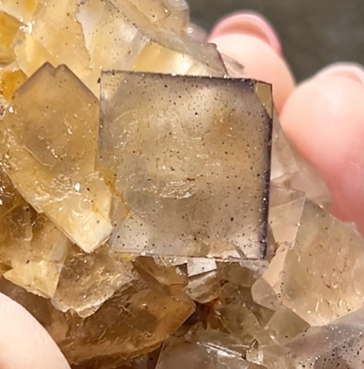 Clear/ White Fluorite With Iron Inclusions & Navy Blue/ Purple plus Iron Wash Medium #1 From Paul’s Pocket, Gillhead Mine, Harrogate, North Yorkshire, U.K. 🇬🇧