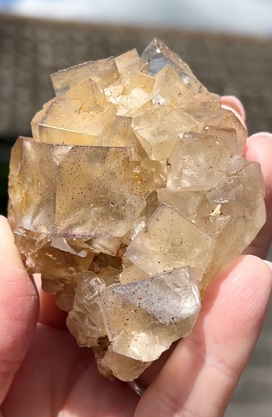 Clear/ White Fluorite With Iron Inclusions & Navy Blue/ Purple plus Iron Wash Medium #1 From Paul’s Pocket, Gillhead Mine, Harrogate, North Yorkshire, U.K. 🇬🇧