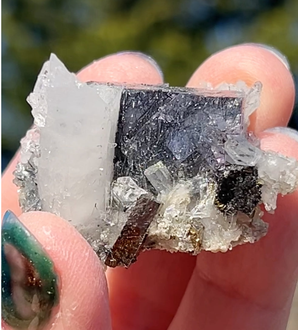 Rare YGX Rutile Navy Fluorite w/ Silver & Black Rutile Cube On Quartz, Wolframite, Muscovite & Chalcopyrite From Yao Gang Xian Mine, Chenzhou, Hunan, China 🇨🇳 #11