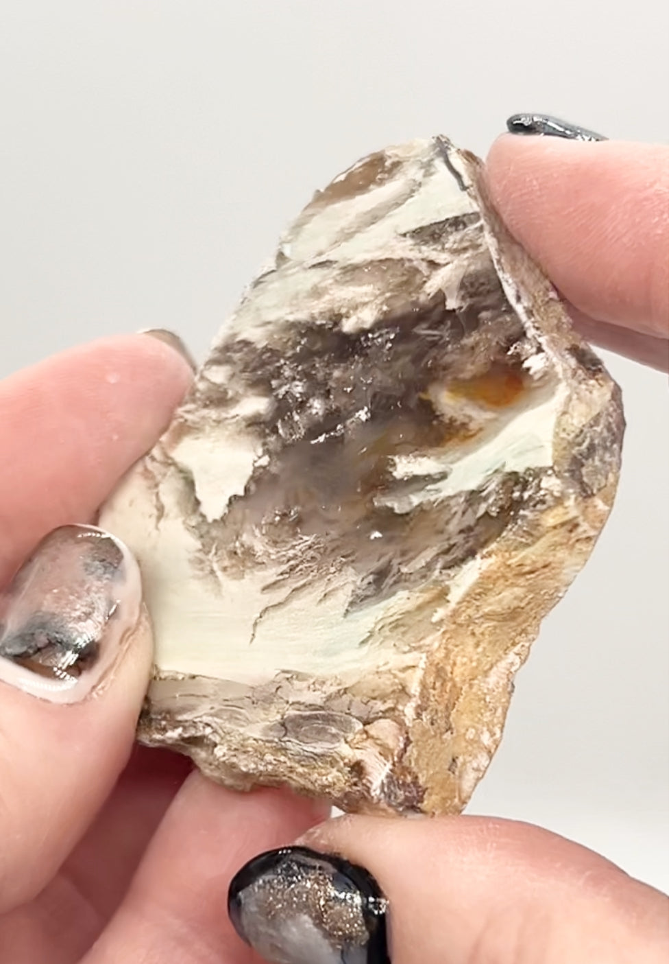 Green-Blue Petrified Wood 🪵 #6 From Turkey 🇹🇷