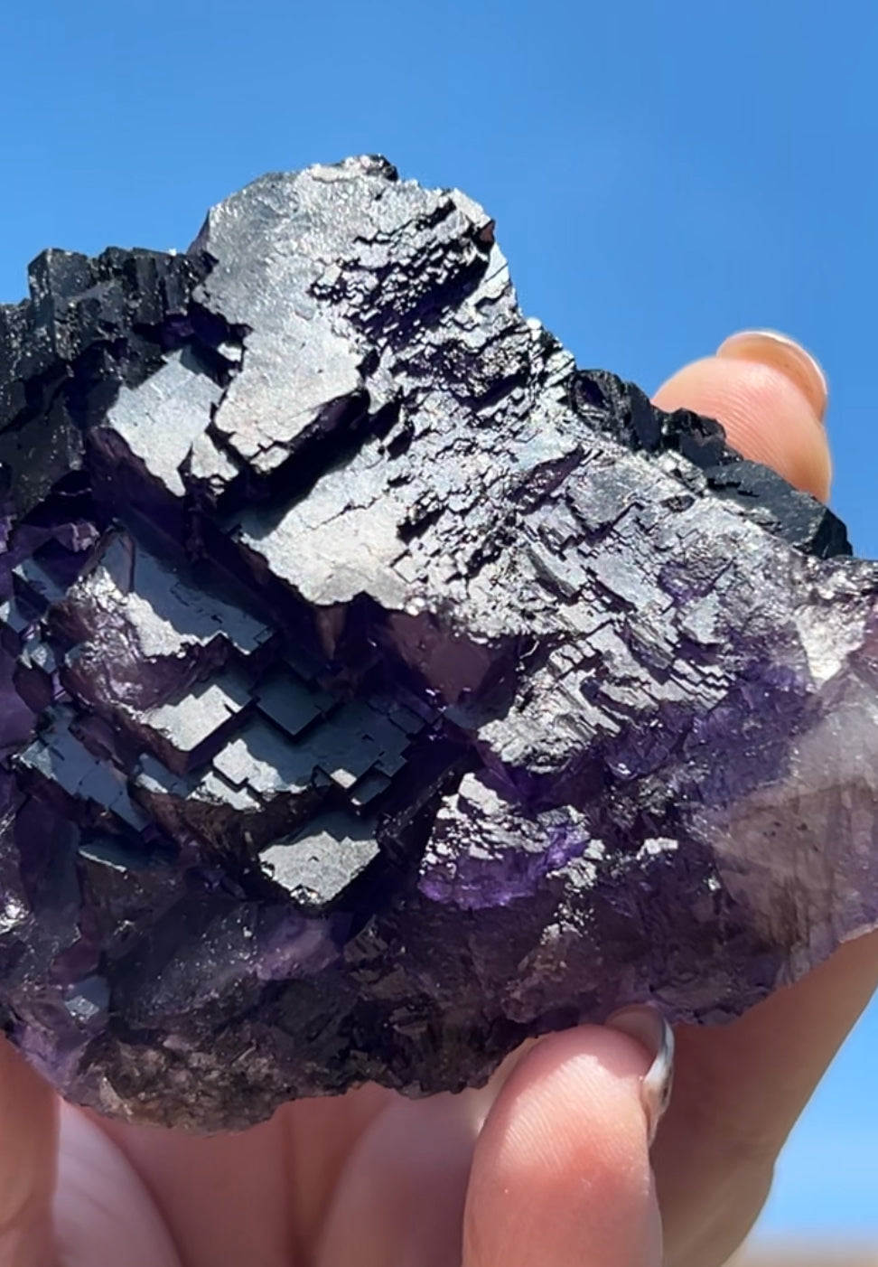 Purple & White Step Fluorite XL from La Encantada Mine, Muzquiz, Coahuila, México 🇲🇽 #1