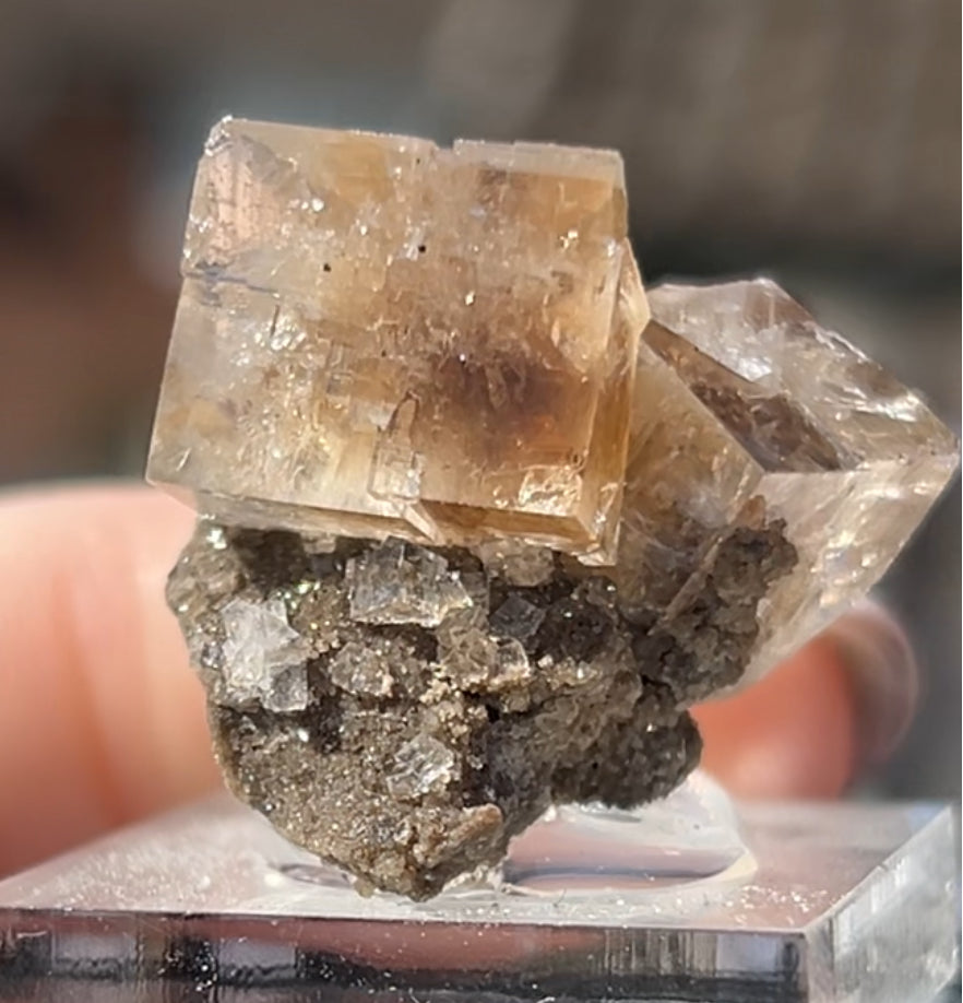 Clear Fluorite with Clay Inclusions On Quartz from Flamboro Quarry, Hamilton, Ontario, Canada 🇨🇦 Small In Box