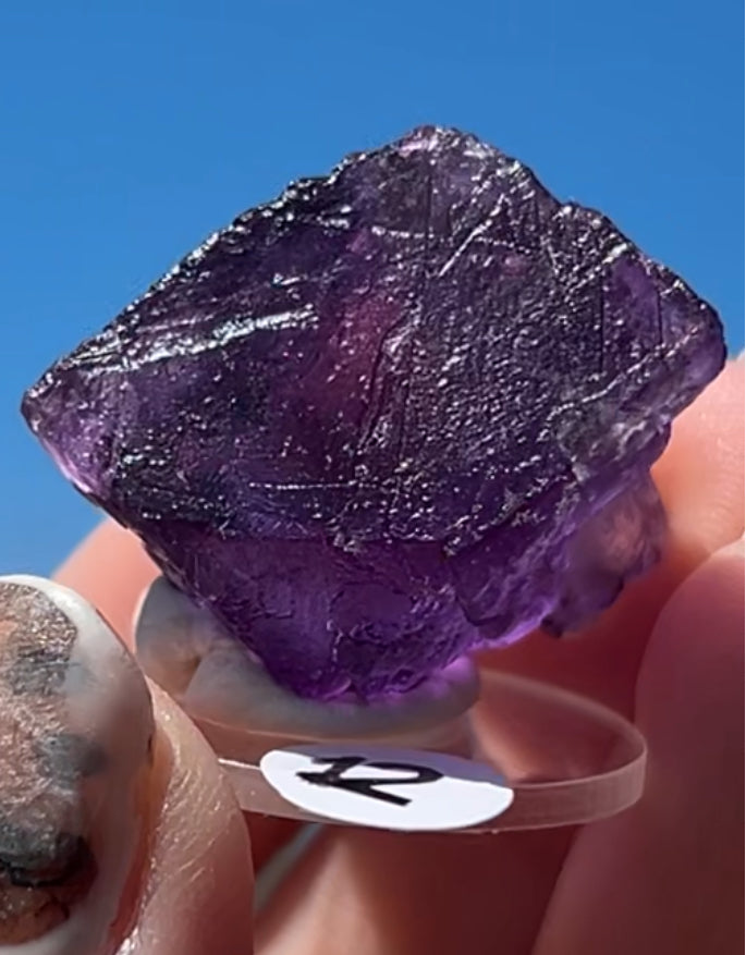 Purple Fluorite Cube (Red UV) from Ojuela Mine, Mapimi, Durango, México 🇲🇽 Pick Your Specimen - Small