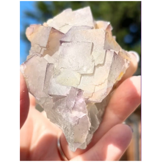 Moroccan Aqua-Green with Purple Pattern Fluorite from Morocco 🇲🇦