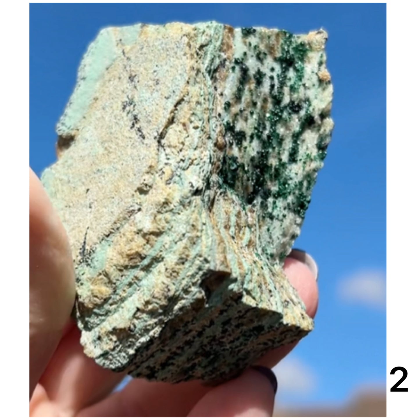 Chrysocolla & Malachite Slice with Dendrites from Democratic Republic of the Congo 🇨🇩 Pick Your Specimen