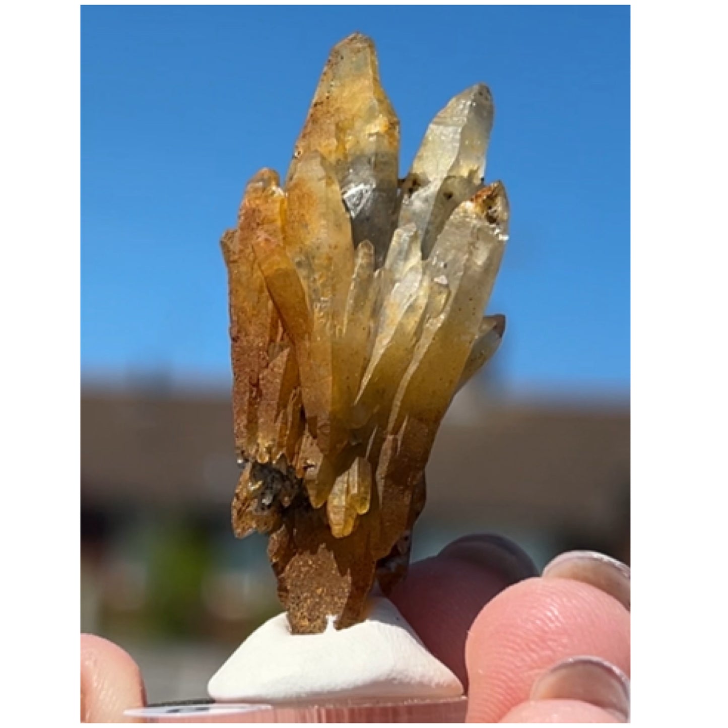 Black Iridescent Vera Cruz from Piedra Parada, Veracruz, Mexico 🇲🇽 #6