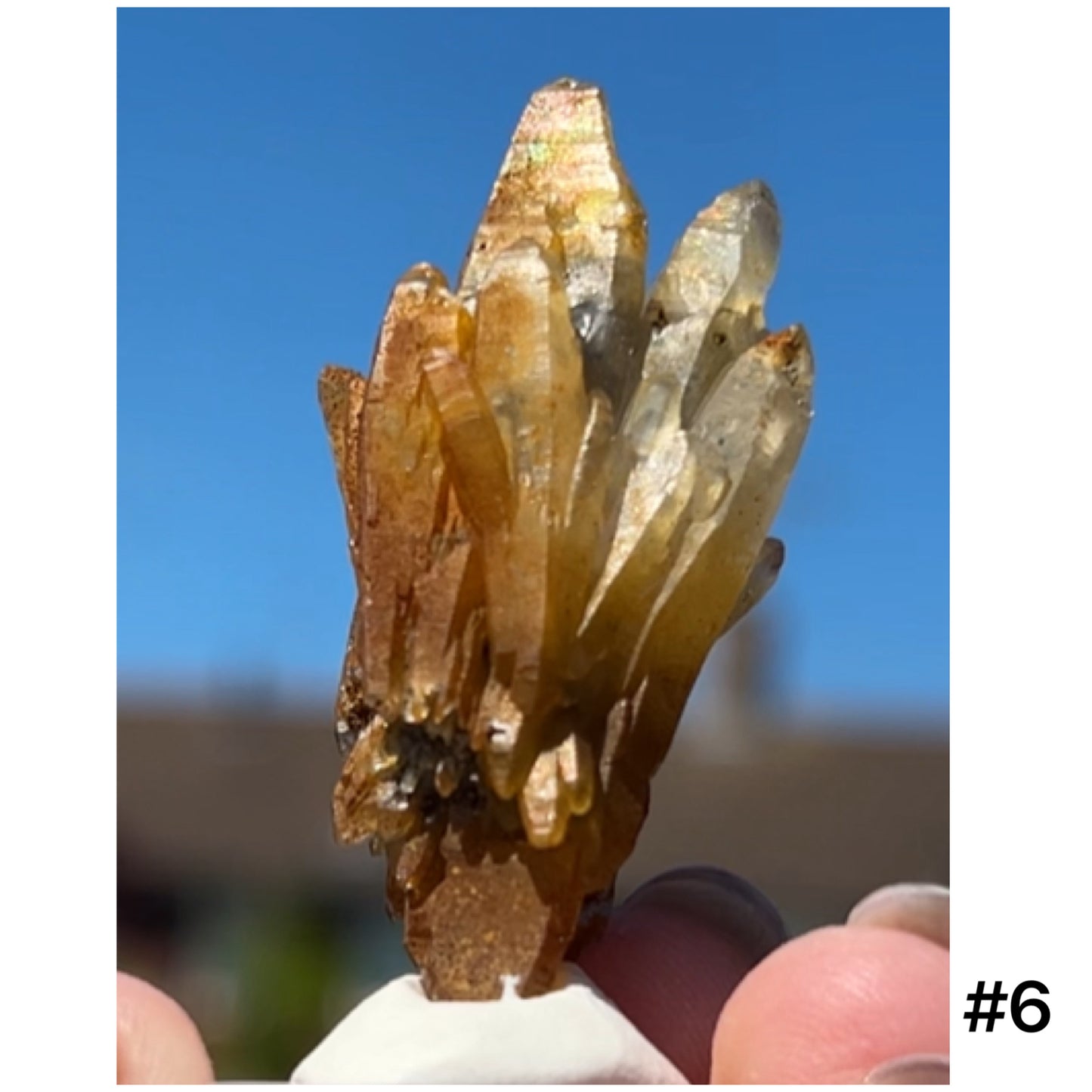 Black Iridescent Vera Cruz from Piedra Parada, Veracruz, Mexico 🇲🇽 #6