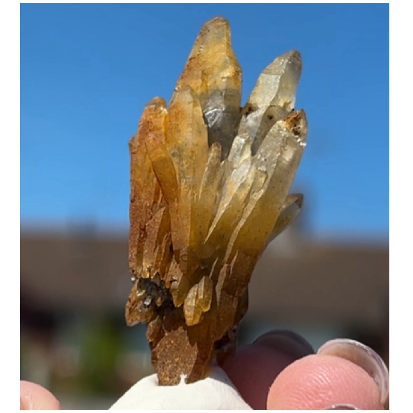 Black Iridescent Vera Cruz from Piedra Parada, Veracruz, Mexico 🇲🇽 #6