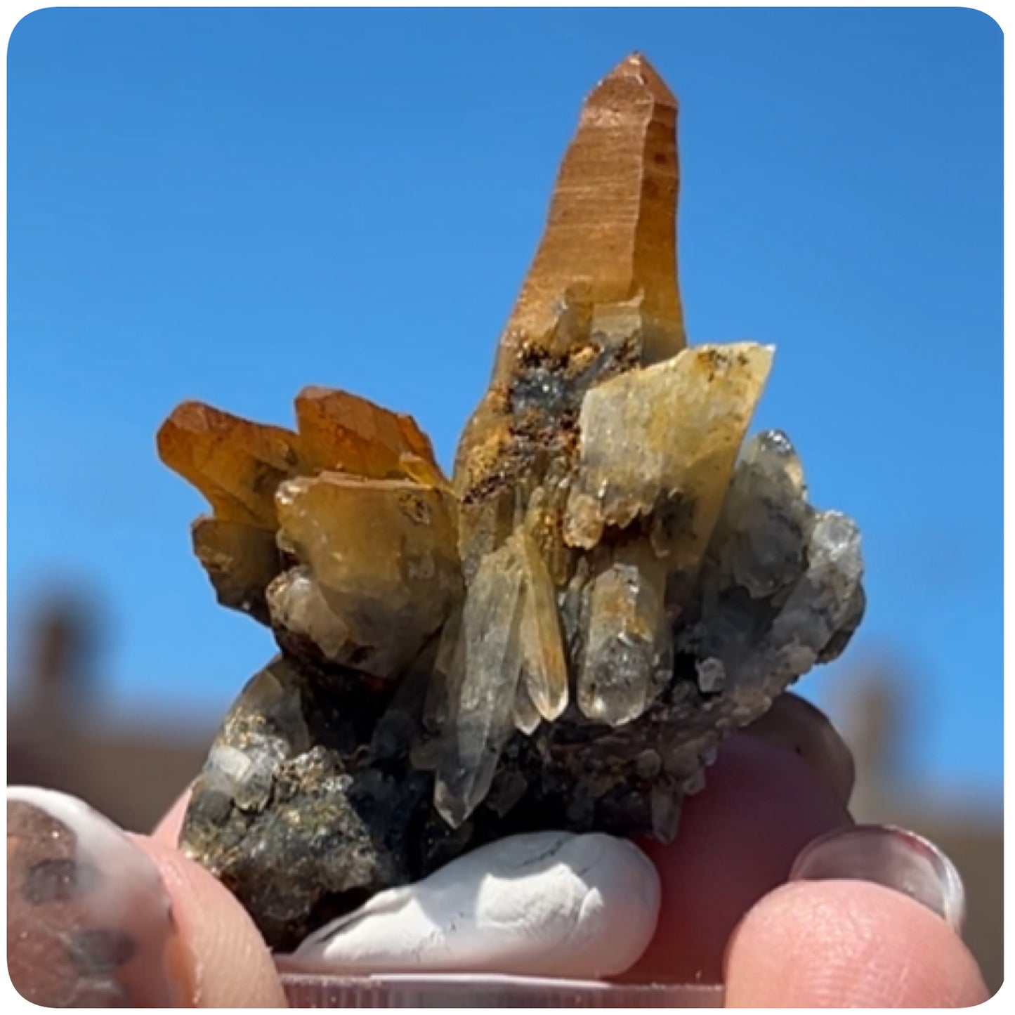 Black Iridescent Vera Cruz from Piedra Parada, Veracruz, Mexico 🇲🇽 #8