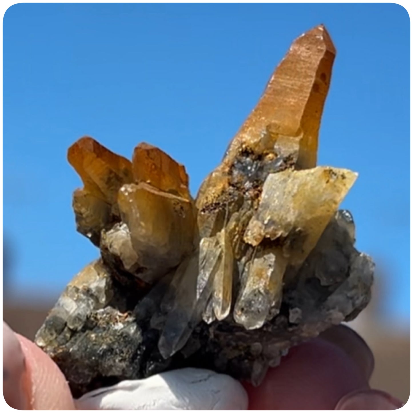 Black Iridescent Vera Cruz from Piedra Parada, Veracruz, Mexico 🇲🇽 #8