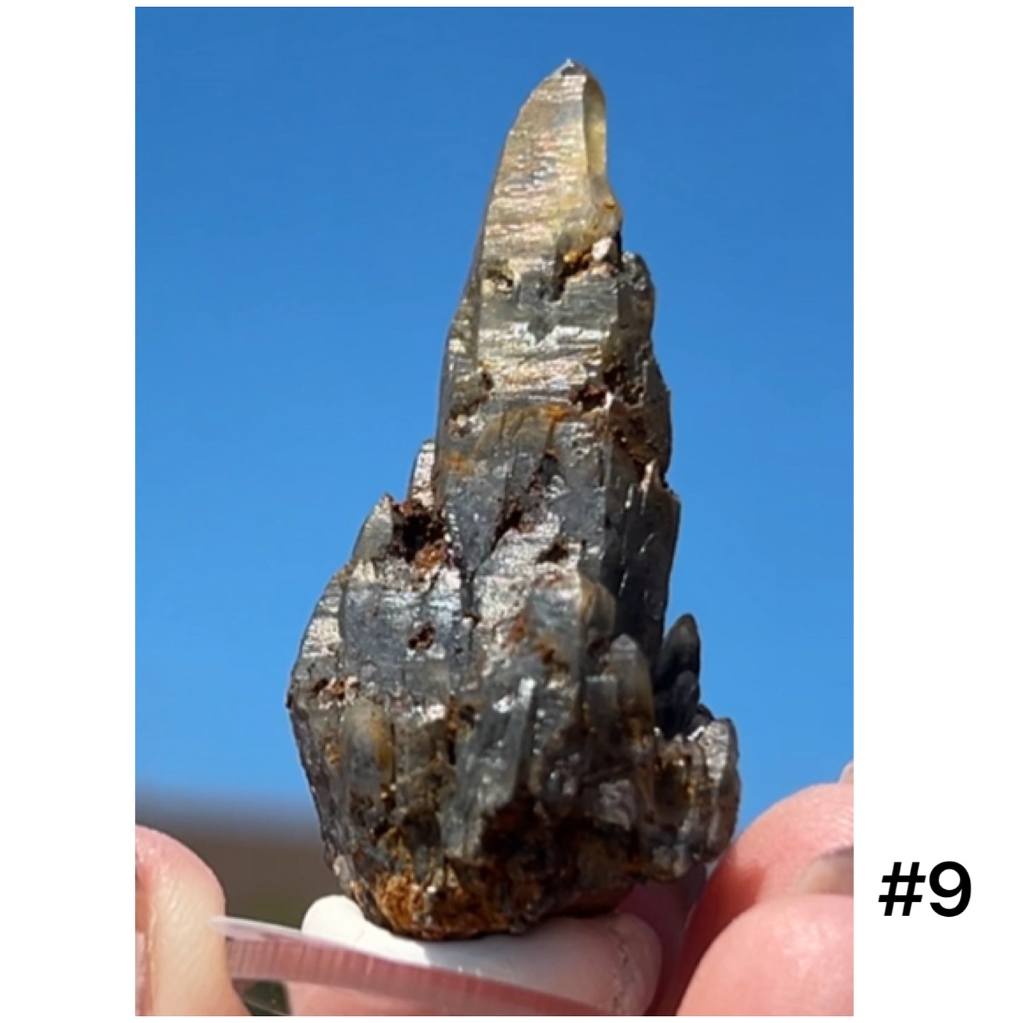 Black Iridescent Vera Cruz from Piedra Parada, Veracruz, Mexico 🇲🇽 #9