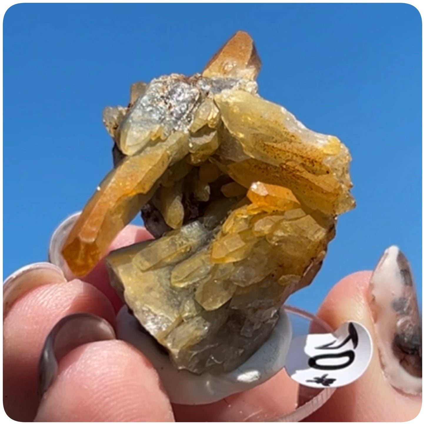 Black Iridescent Vera Cruz from Piedra Parada, Veracruz, Mexico 🇲🇽 #10