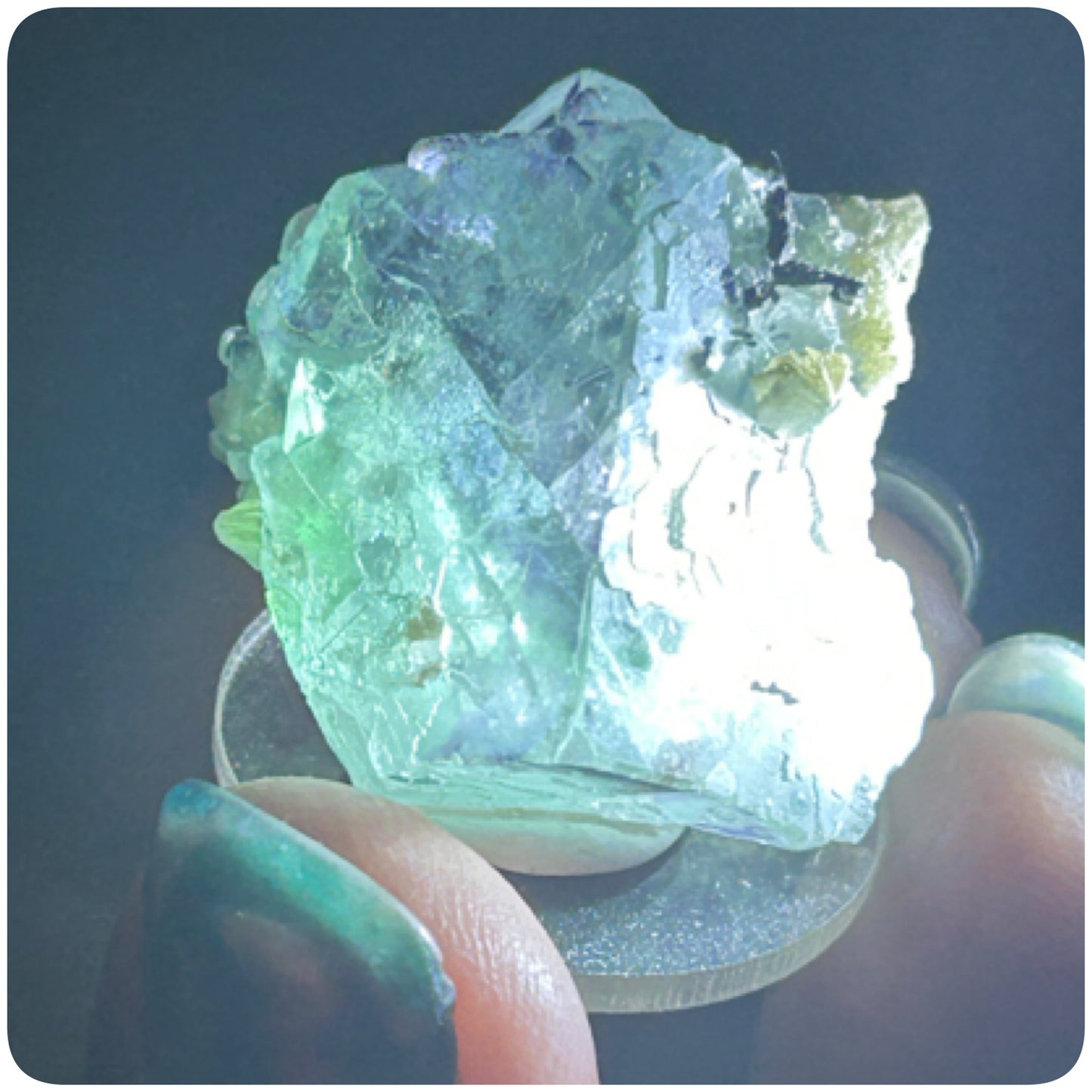 Tie Dye Green & Purple Fluorite from Tie Dye Pocket, Okorusu Mine, Otjiwarongo, Otjozondjupa Region, Namibia 🇳🇦 Pick Your Specimen