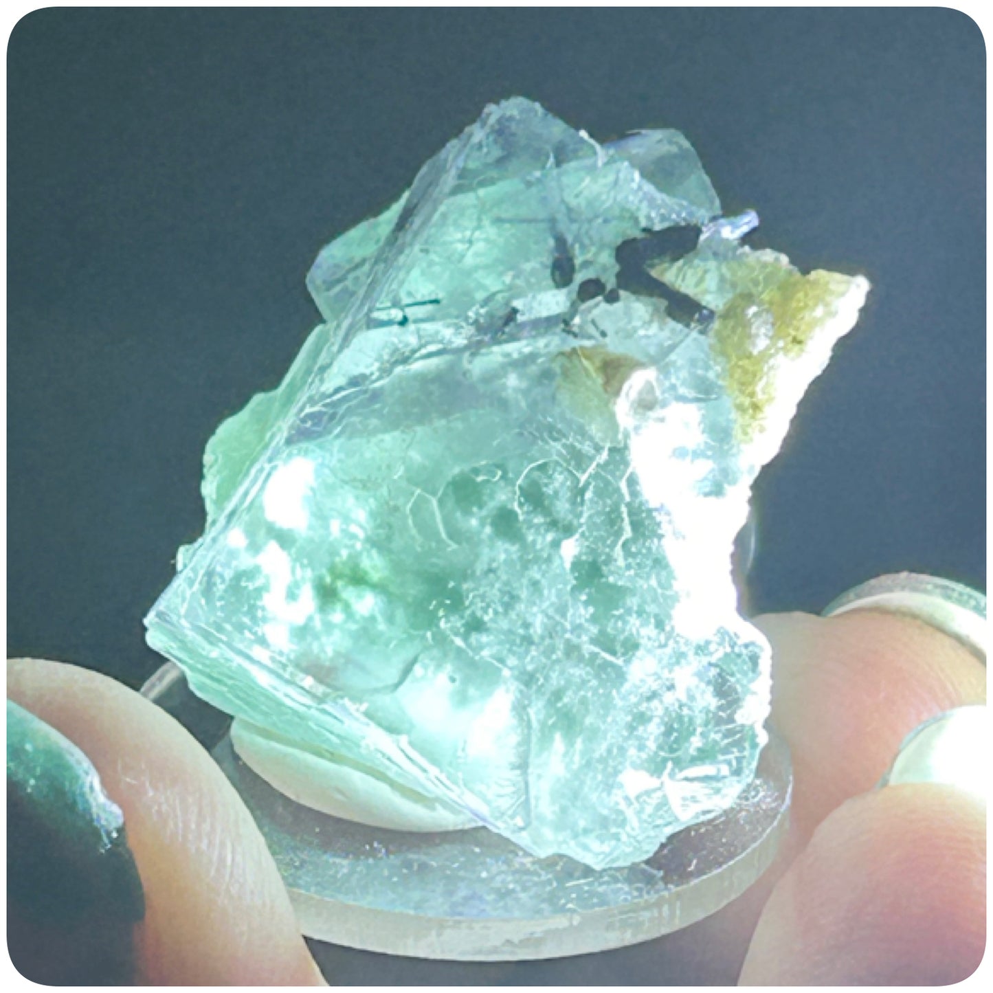 Tie Dye Green & Purple Fluorite from Tie Dye Pocket, Okorusu Mine, Otjiwarongo, Otjozondjupa Region, Namibia 🇳🇦 Pick Your Specimen