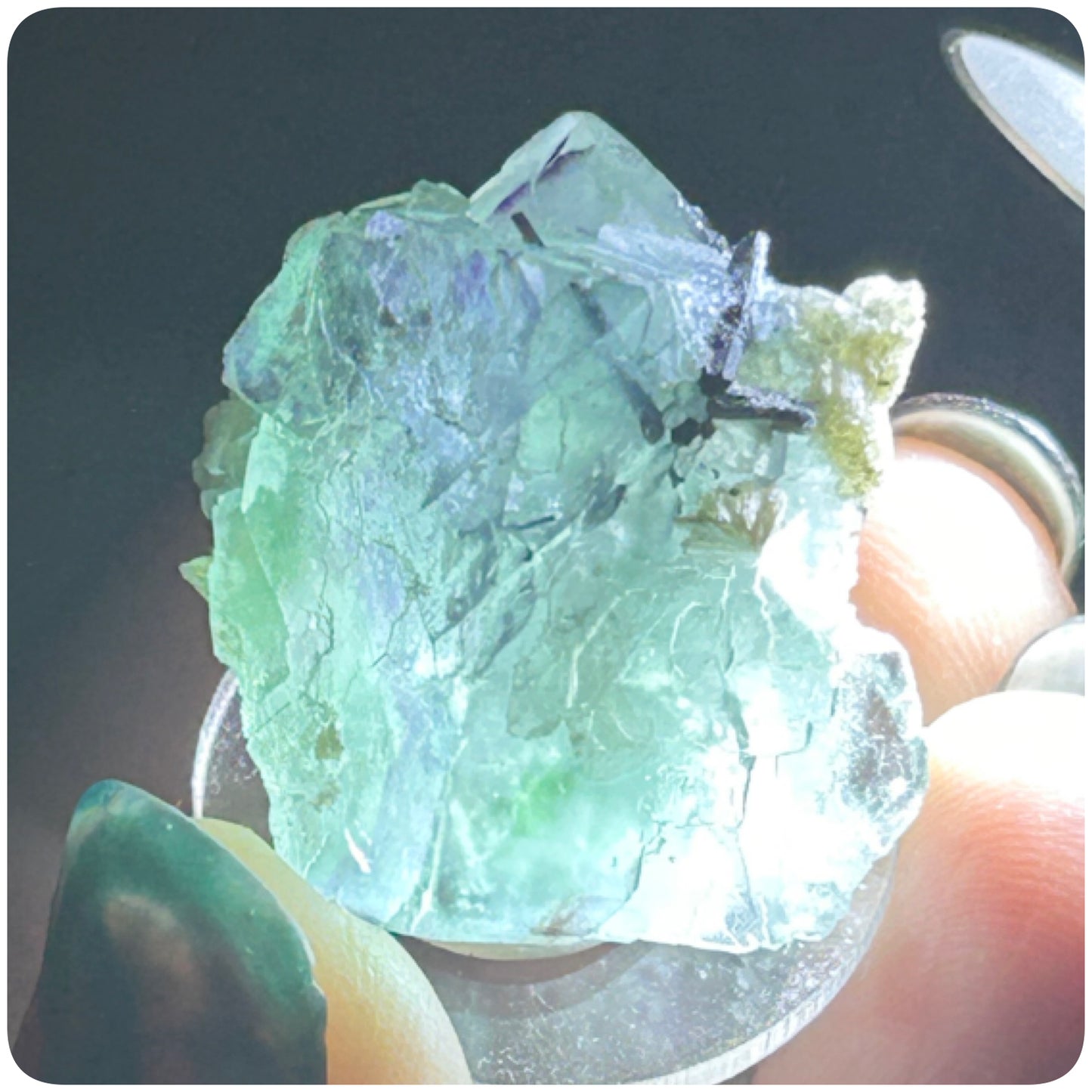 Tie Dye Green & Purple Fluorite from Tie Dye Pocket, Okorusu Mine, Otjiwarongo, Otjozondjupa Region, Namibia 🇳🇦 Pick Your Specimen