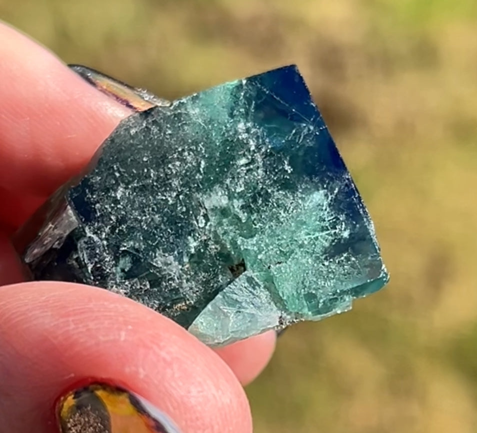 #17 Truffle 🐷 Pig Fluorite Raw from Sutcliffe Vein, Diana Maria Mine, Weardale, U.K. 🇬🇧