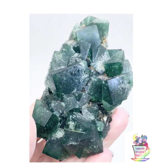 XL Greedy Hog Colour Change Green Fluorite from Greedy Hog Pocket, Diana Maria Mine, Weardale, County Durham, U.K. 🇬🇧 Top Quality