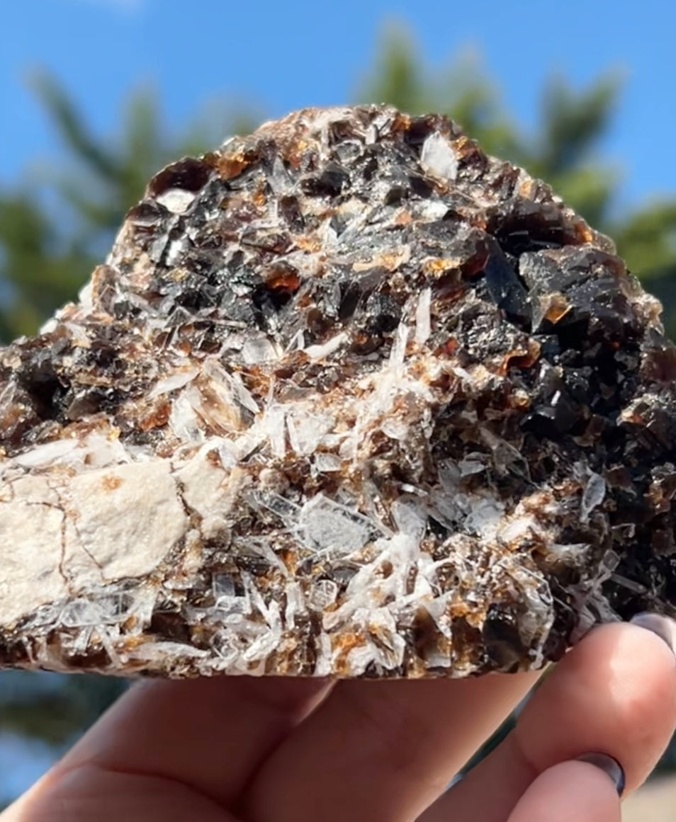 Rootbeer 🍺 Fluorite with Celestite & Calcite (Green UV) from White Rock Quarry, Ohio, USA 🇺🇸 Number 1