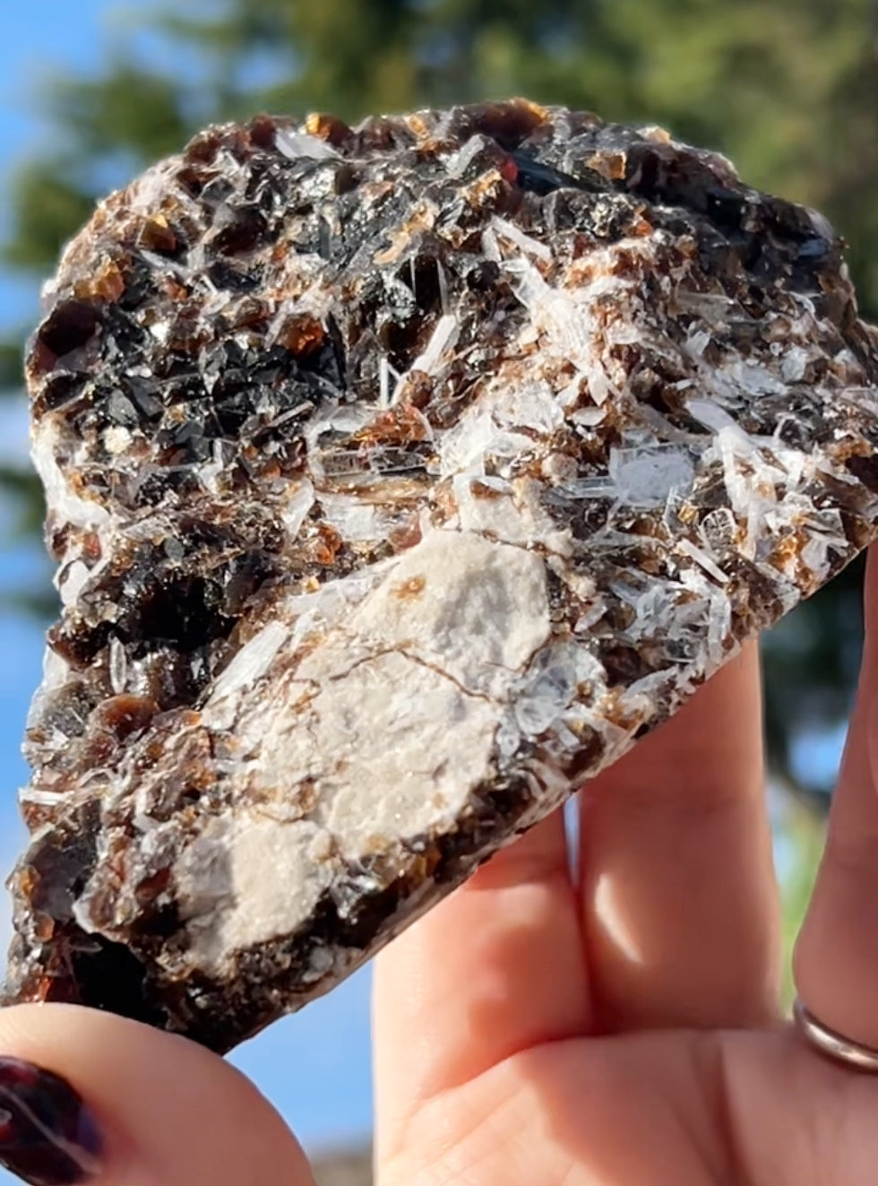 Rootbeer 🍺 Fluorite with Celestite & Calcite (Green UV) from White Rock Quarry, Ohio, USA 🇺🇸 Number 1