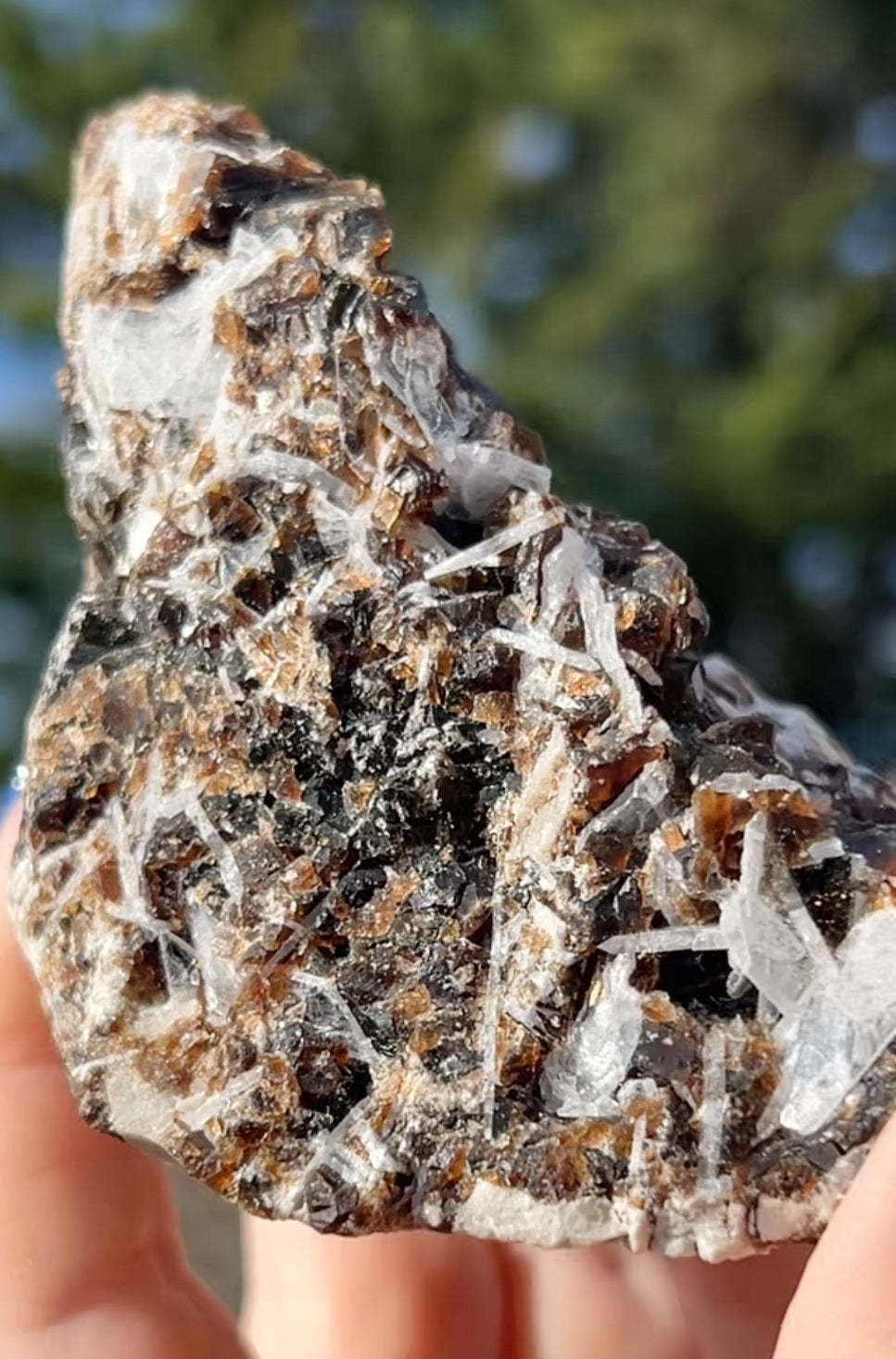 Rootbeer 🍺 Fluorite with Celestite & Calcite (Green UV) from White Rock Quarry, Ohio, USA 🇺🇸 Number 1