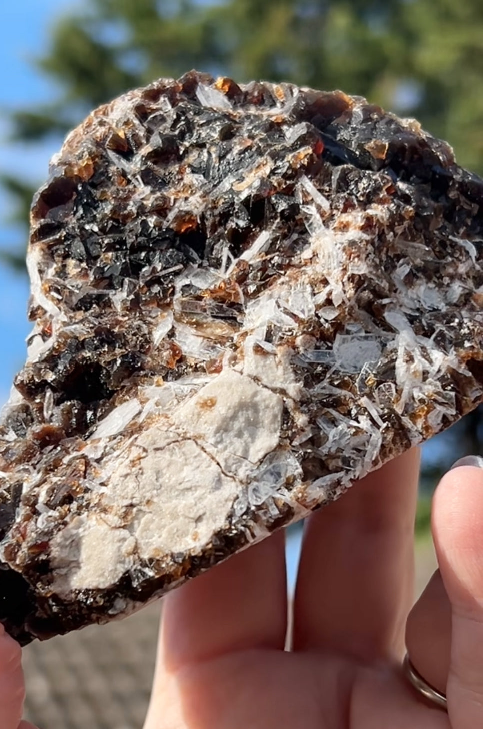 Rootbeer 🍺 Fluorite with Celestite & Calcite (Green UV) from White Rock Quarry, Ohio, USA 🇺🇸 Number 1